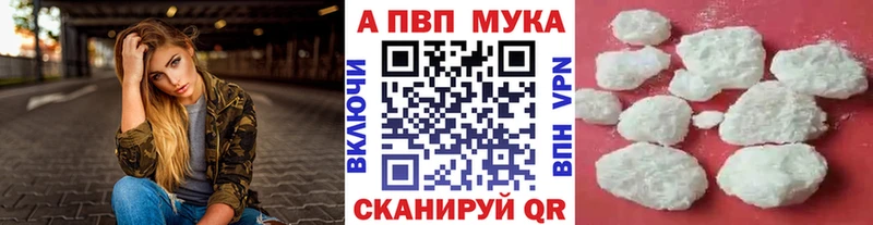A PVP СК  Грязовец 