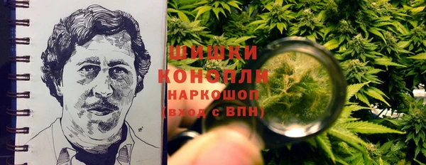 бошки Бронницы